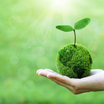evergreen-s6a2-image2 Environmentally friendly concept - Save our planet - Save clean planet
